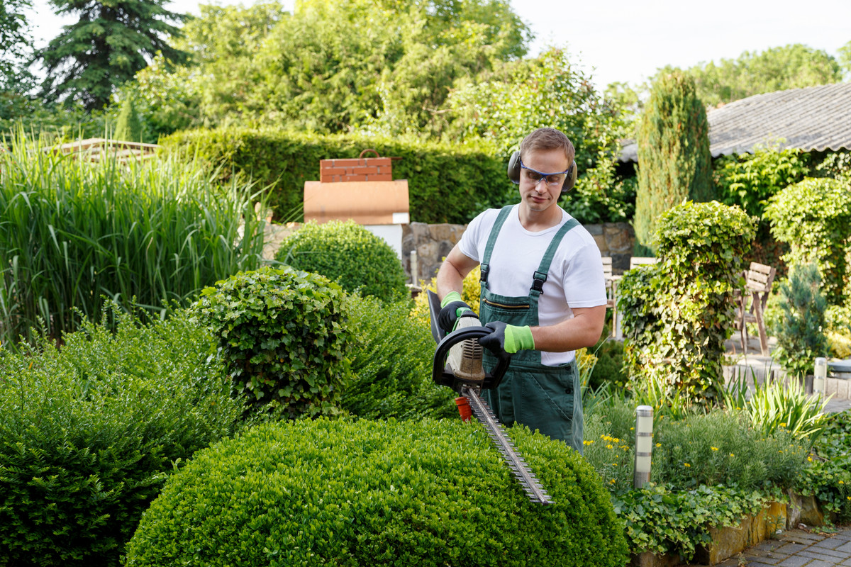 What You Need to Know to Become a Landscaper