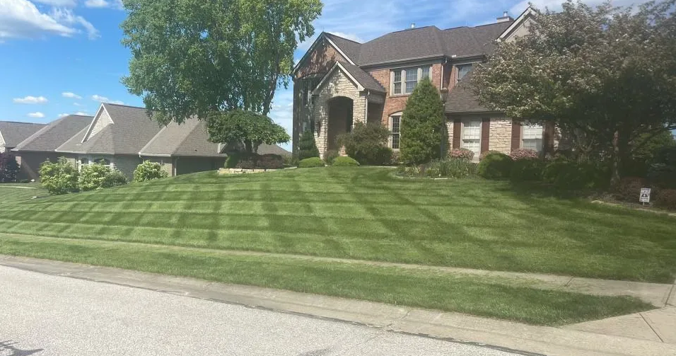Prime Cut Lawn & Landscaping Expands Reach Across Kentucky with Exceptional Landscaping Services
