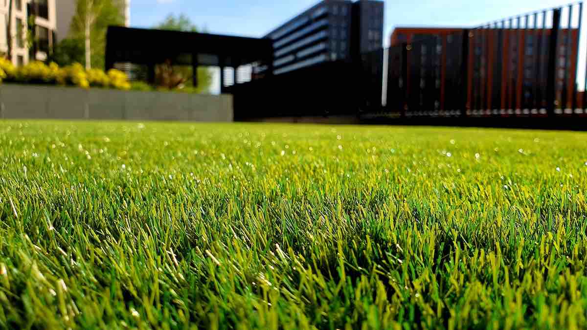 Ecograss Landscaping: Your Premier Choice for Lawn Care in Fayetteville and Springdale, AR